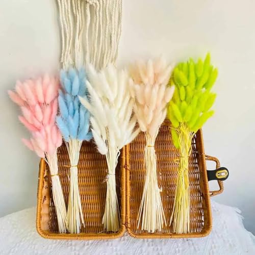 Pampas Grass Decor Tall 30Pcs Flores Secas Decorativas 45 cm miniatura 4