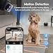 Mini Camera, Nanny Cam for Home | Free Cloud Indoor Security Camera, Works with/Without WiFi for Baby/Pet/Nanny Monitoring