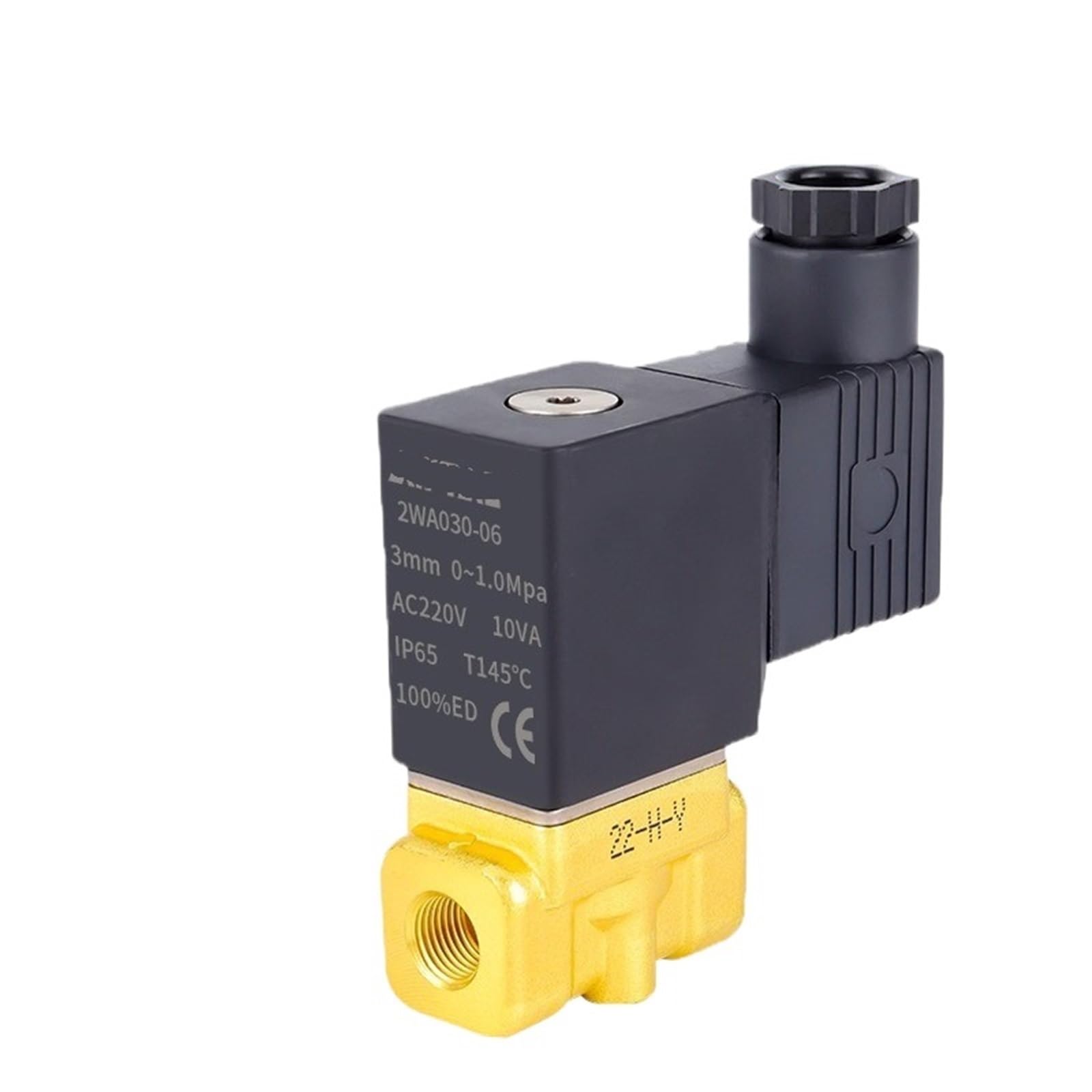 Électrovanne 2WA150-15 évitez les fuites avec cette vanne d'eau AC110V NC