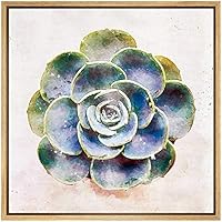 SIGNWIN Framed Canvas Wall Art Green Atlantis Succulent Botanical Plants Watercolor Modern Art Chic Closeup Relax/Calm for Living Room, Bedroom, Office - 16x16 inches