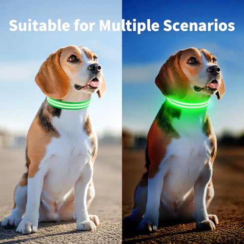 PcEoTllar Leuchthalsband Hund Aufladbar, Hundehalsband Leuchtend, Beleuchtetes LED Halsband für Hunde für Kleine Mittlere Große Hunde, Hunde Leuchthalsband Wasserdicht 3 Leuchtmodi, Grün-S