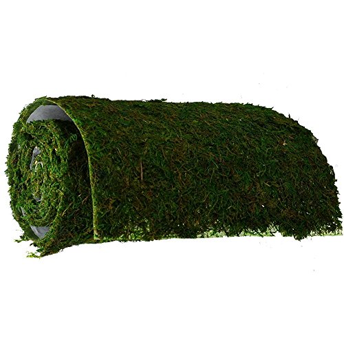 Byher Dried Moss Table Runner for Party Garden Decoration, Dark Green 30cm X 180cm ( 12" x 71" )2