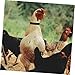VANZACK 8pcs Rooster Crowing Collar Set Hook Neck Rings for Preventing Noise Includes 4 Red and 4 Dark Rooster Neck Bands