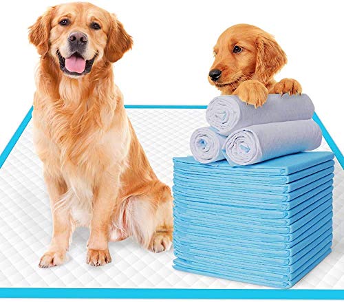 Image of Patch & Marshall Dog Pee Mats / Sheets with Adhesive Floor Strips Suitable for Puppies,Small , Medium & Large Dogs Leak Proof , Disposable, 10 Pcs, (90 x 60 cm)