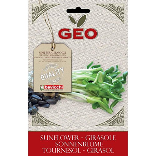 SEMI BIO DI GIRASOLE PER GERMOGLI 80GR SEMENZAIO SEMENTI SEEDS