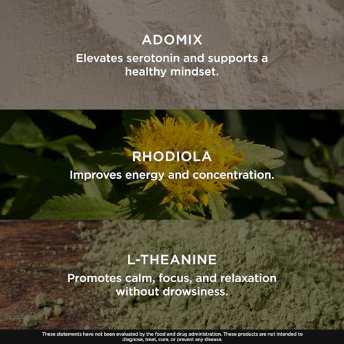 Image of Genius Joy - Nootropic Supplement w /Sam-e, Panax Ginseng & L-Theanine - 100 Veggie Pills (Pack of 2)