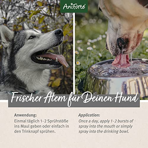 AniForte Denta Clean & Care Dentalspray für Hunde – 100% natürliche Extrakte & Calcium, entfernt Zahnbelag, Mundgeruch Spray für frischen Atem, beugt Plaque, Zahnstein vor, Zahnpflege Spray