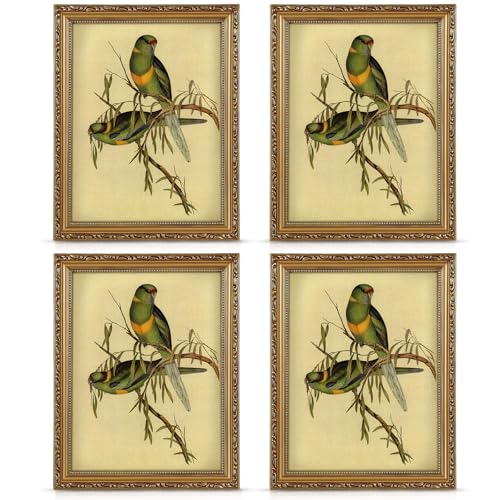 Weysat Be[Wʐ^t[ S[hAeB[NtHgt[ ANtgt Ǌ|ʐ^fBXvCp z[fRp 11×14C` 4