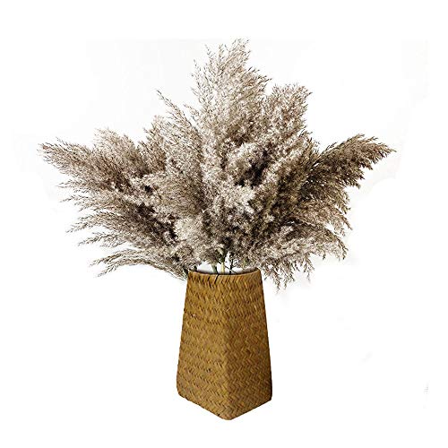 Chytaii Pampasgras Getrocknet Groß, Trockenblumen Vasen Grau Getrocknete Blumen 60cm, Boho Deko für Hochzeit Badezimmer Wohnzimmer Schlafzimmer Balkon Tischdeko Cover