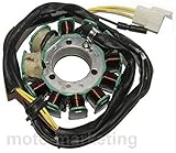 NEU ____ LICHTMASCHINE STATOR ! ____ Bei diesem Lichmaschine handelt es sich um ein hochwertiges Ersatzteil. ____ andere Abmessungen - auf den Fotos ____
