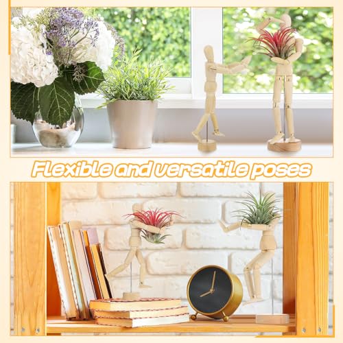 Image of ANPHSIN 2 Sizes Wooden Air Plant Holder, Adjustable Poses, 2 pcs