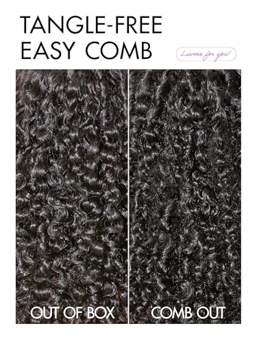 Image of LUVME HAIR 7x6 HD Lace All-Day Comfort Burmese Messy Curly Wig PartingMax Lace Wigs Lace Front Wigs Human Hair Pre Cut Plucked Lace Frontal Glueless 24 Inches Natural Black Color