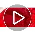 Plush Fluffy Red Comforter Cover Twin Set – Faux Fur Plush Red Bedding 2-Piece Set (1 Furry Duvet Cover + 1 Shaggy Pillow Sham) Cozy Bed Set