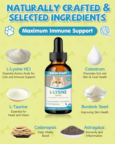 Lysin Katze - L-Lysin Tropfen für Katzen und Kätzchen, Kätzchen Immunsystem, Schnupfen, Linderung von Allergien, Niesen, Nahrungsergänzungen mit Vitaminen und Mineralien, Kolostrum, Taurin