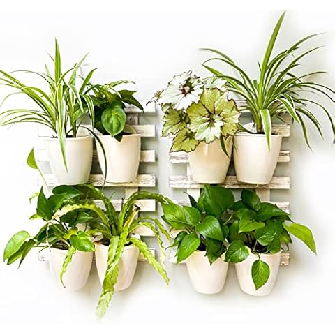 ShopLaLa Wooden Wall Planters - 2 Pack Cover