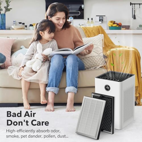 Image of JF260 Replacement Filter Compatible with JF260 Air Purifier, 3-in-1 True HEPA H13 with Activated Carbon Filter, Part Number JF260-RF, 2 Pack