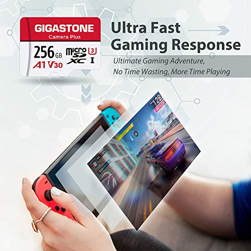 Gigastone Micro SD 256 GB, Camera Plus, Set da 2