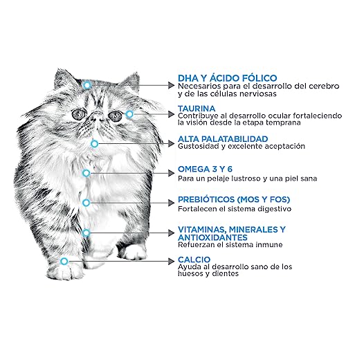 Opiniones de Nupec gato , tabla con los diez mejores. 9 Opiniones de Nupec gato , tabla con los diez mejores. 9