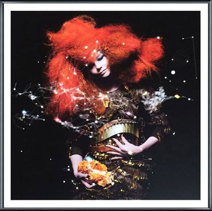 額装品/Biophilla 2011 限定1000枚/ナンバリング入り/ビョーク Amazon.co.jp: ポスター ビョーク Bjork（ビョーク）/Biophilla 2011年