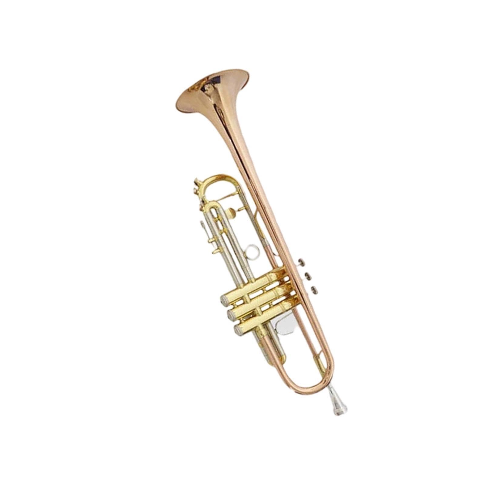 Professional Trumpet Trompeta en si bemol para principiantes