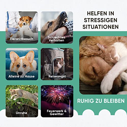 animigo Beruhigungsmittel für Hunde & Katzen - 100ml Entspannungs- & Anti-Stress-Mittel für Haustiere - Mit L Tryptophan, Vitamin D3, Zink, Taurin - Gelassenheit bei Stress, Feuerwerk, Unruhe & Reisen