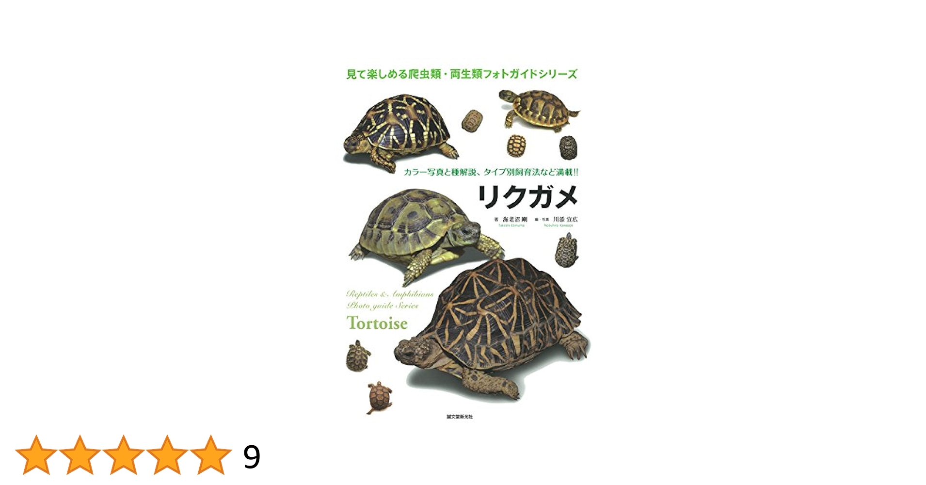 爬虫類ビジュアルガイド　リクガメ : 世界のリクガメ図鑑 リクガメ: 世界のリクガメ図鑑 (爬虫・両生類ビジュアルガイド