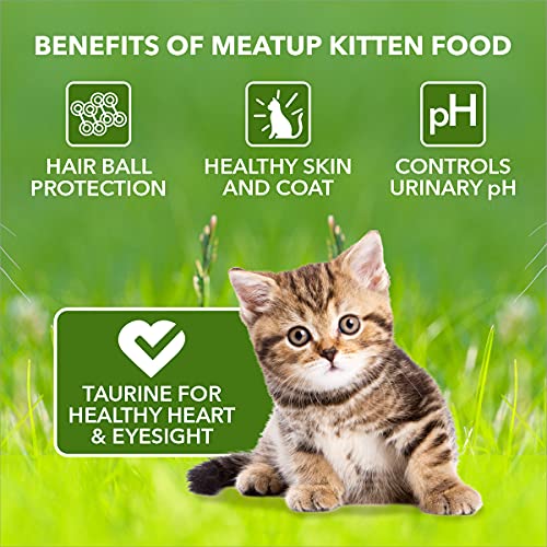 Image of Meat Up Adult Cat Food, Ocean Fish - 1.2 kg Pack (Buy 1 GET 1 Free) & Meat Up Kitten Cat Food, 1.2 kg (Buy 1 GET 1 Free)