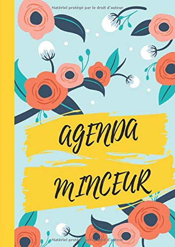 Télécharger Agenda Minceur 90 Jours: Carnet De Suivi Régime Et Activités A Remplir | Cahier Grand Format | 190 PDF Ebook En Ligne