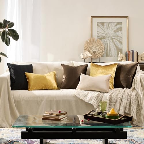 Image of GIGIZAZA Brown Velvet Pillow Covers 18x18,Square Solid Throw Pillow Covers Decorative Modern Pillows Small Vintage Cases for Couch Pack of 2