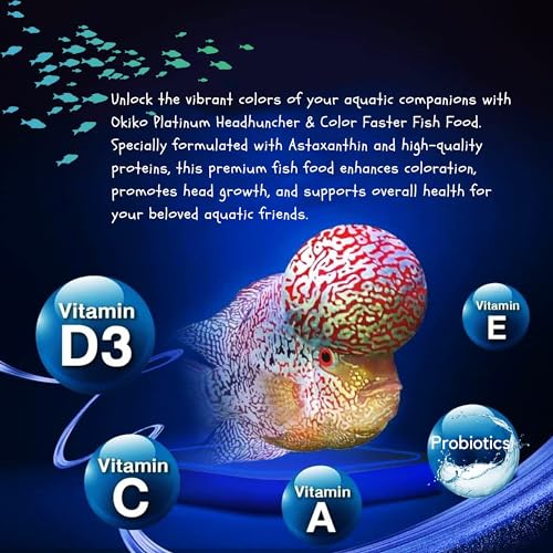 Okiko Platinum X2, Floating Pellets Size M = 2 Mm, Flowerhorn Fish Food Red Head Mark Formula High Protein Astaxanthin Color Enhancing Tropical Fish Feed Probiotic Healthy Fast Growth thumb #3