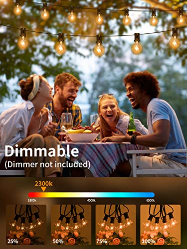 Avanlo Outdoor String Lights 100Ft 2-Pack, Dimmable G40 Globe Patio String Lights With 54 Edison Bulbs Waterproof Hanging Outside Lights For Patio Backyard Bistro Wedding Cafe Party Christmas Decor #TOP3