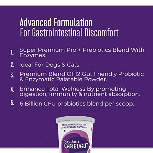 Caredom-CAREOGUT-Super-Premium-PROBIOTICS-and-PREBIOTICS-Blend-with-Enzymes-Promotes-Better-Digestion-Boost-Immunity-Gut-Health-for-Dogs-Cats-100-grm