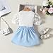 Toddler Baby Girl Skirts Outfit Spring Summer Kids Clothes Sleeveless Knit Vest Top + Pleated A-Line Skirt Set (Mesh Petal Sleeve + Blue, 5-6 Years)
