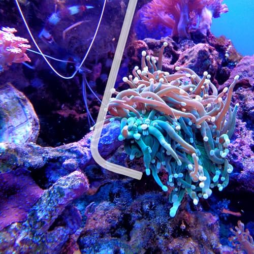 Image of KABASI Coral Feeder Fish Feeder Waste Clean Tool, 50ml Manual Acrylic Pipette Suction Dropper with 2PCS Extension Pipes for Fish Tank Cleaning, Water Changer Waste Remover for Aquarium