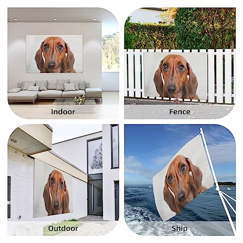 Drapeau de chien triste : le cadeau de jardin insolite idéal - 7