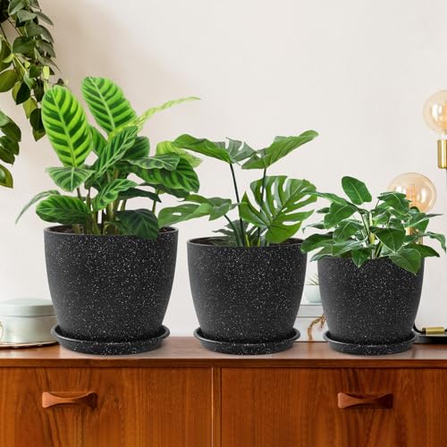 Kiisty Aceta Redonda Grande Para Suculentas, Aceta De 5 Pulgadas Con