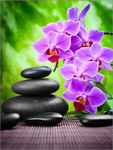 Póster 50 x 70 cm: Zen Basalt Stones and Orchid Editors