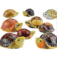 Amazon | BACALYSO | 動物惑星 カメ 亀 ガチャガチャ ブラインド