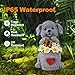 OTAVILEM Solar Garden Decor Dog Statue,Outdoor Dog Figurines with Bucket for Patio, Balcony, Backyard,Lawn Ornaments and Yard Decorations - Unique Gifts for Women, Mom,Grandma