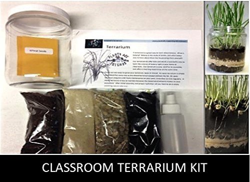 10-Student Classroom Terrarium Kit. Pre-Measured Supplies for 10 Students to Build Their Own Miniature Garden. Great for Teaching Botany, Eco-Systems and The Life Cycle of Plants.