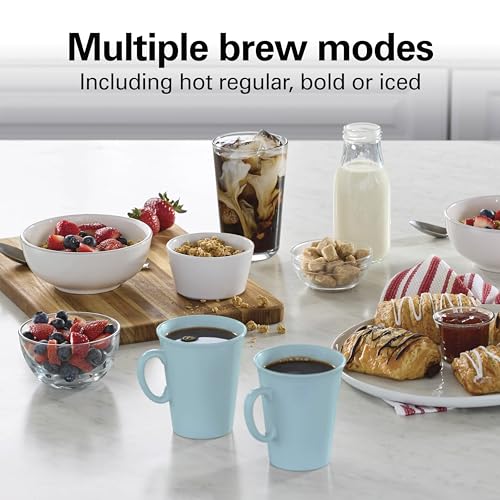 Hamilton Beach 12 Cup Hot & Iced Coffee Maker