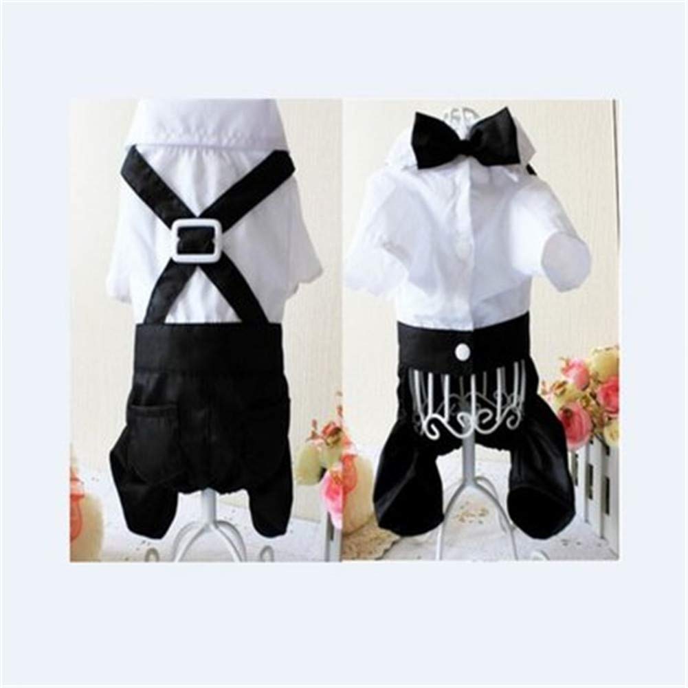 Chemise pour animal de style Angleterre pour éviter les frissons des chiens de taille S-XXL