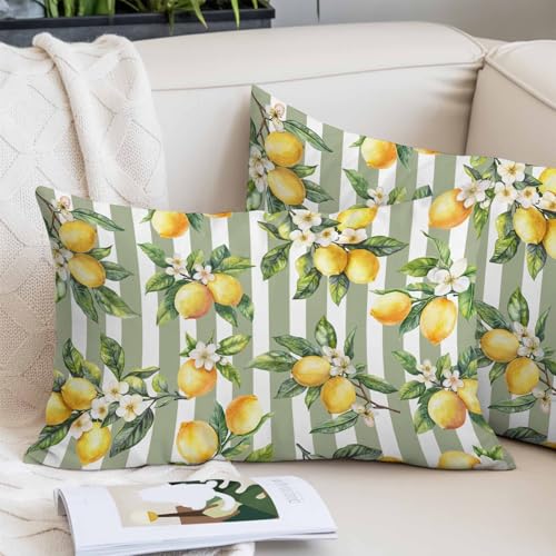 Pillow Covers 24x36 Inch Cal King Size, Spring Lemon Decorative