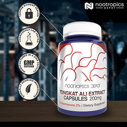 Nootropics Depot Tongkat Ali Extract Capsules | 200Mg | 60 Count | 2% Eurycomanone By Hptlc | Eurycoma Longifolia Root Extract #TOP7