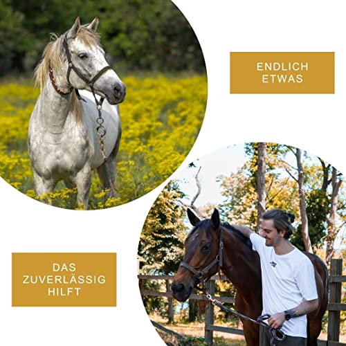 Peticare Anti-Kriebelmücken Stopp Roll-On für Pferde – Abwehr auch gegen Gnitzen, effektiv dem Sommerekzem vorbeugen, Keine Ekzemer-Decke mehr, Anflug-Stopp - petAnimal Protect 2011 - Image 7
