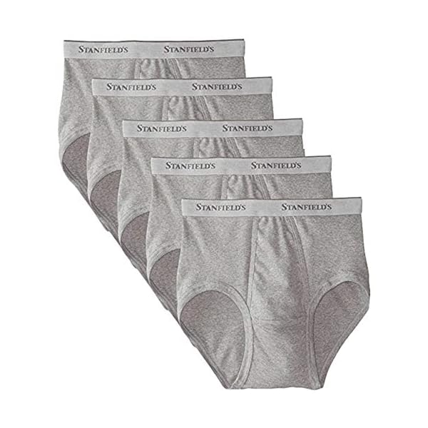 stanfields 5 Pack Men's Cotton Brief Grey, Medium (34" - 36")