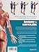 Anatomy & Bodybuilding: A Complete Visual Guide