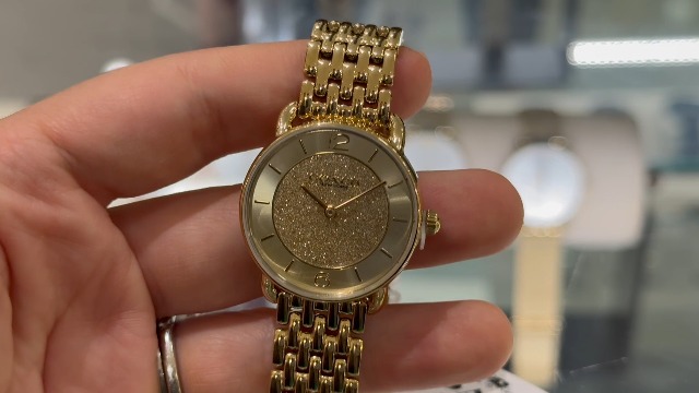 Watch Coach Elliot Women's 2H Gold Quartz Watch REVIEW! on Amazon Live
