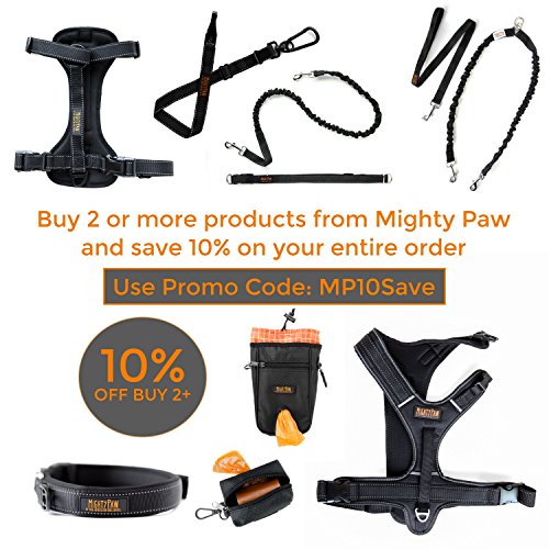 Mighty Paw Reflective Dog Leash - 6 Feet, Premium Quality Dog Leash With Neoprene Padded Handles (Black/Orange) #TOP6