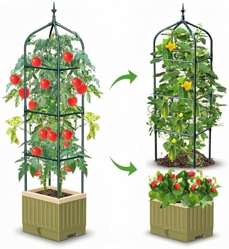 Raised Planter Box with Trellis
